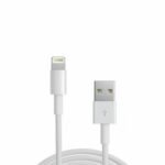 CABLE USB-C A LIGHTNING APPLE REPLICA MD818M/A